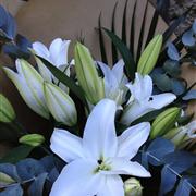 Simply lilies